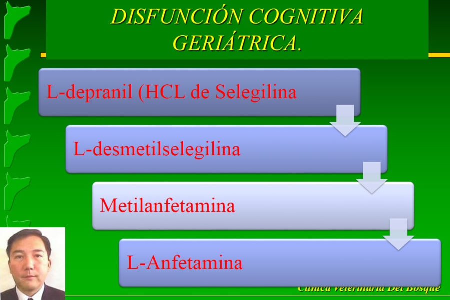 Problemas conductuales en el paciente geritrico