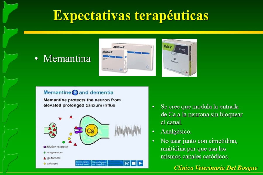 Problemas conductuales en el paciente geritrico