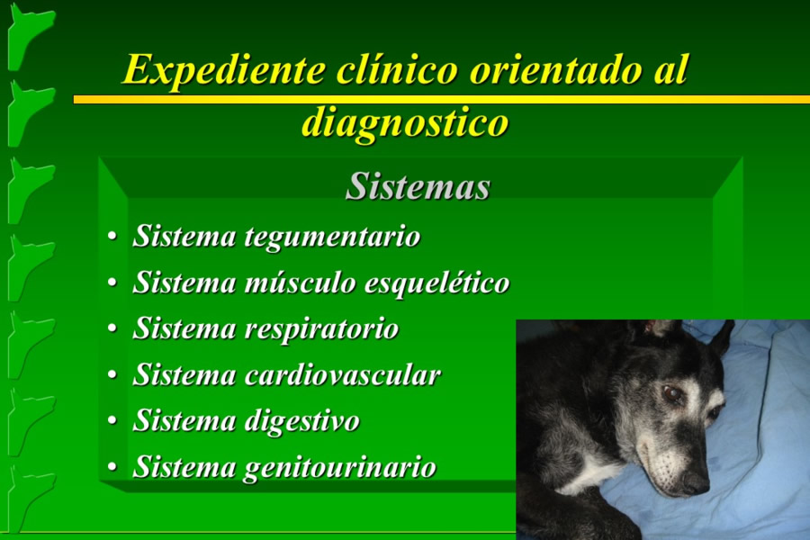 Problemas conductuales en el paciente geritrico