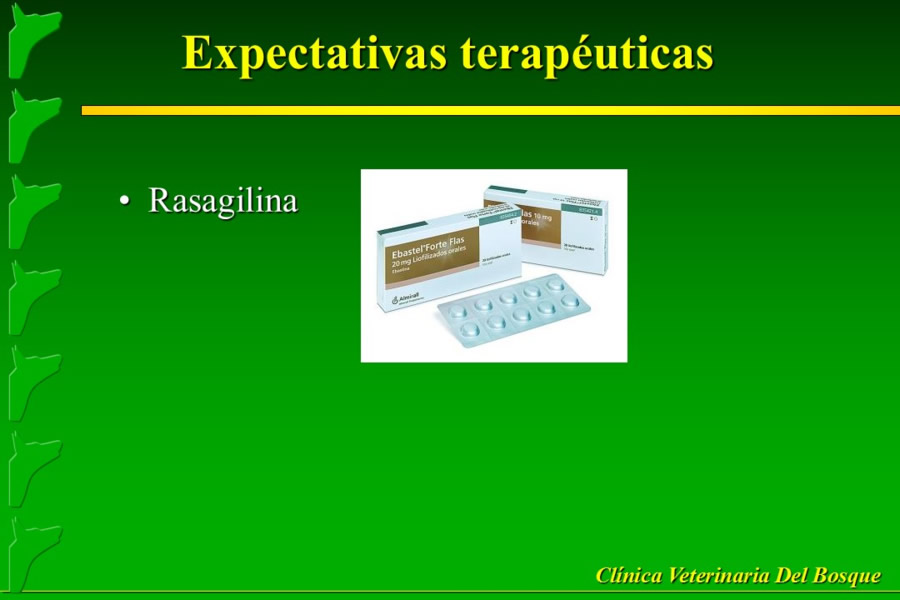 Problemas conductuales en el paciente geritrico