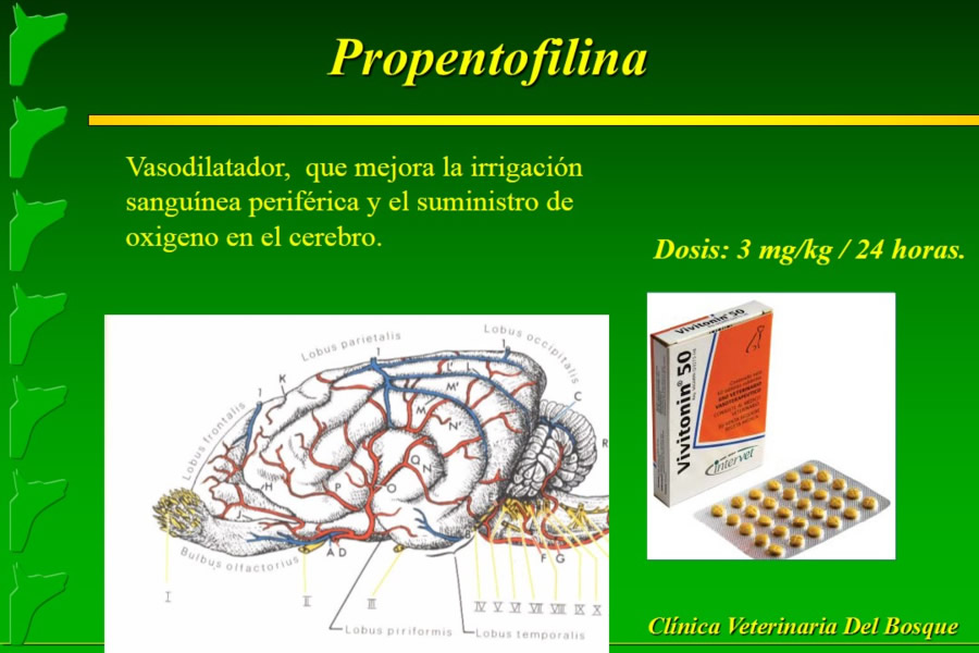 Problemas conductuales en el paciente geritrico