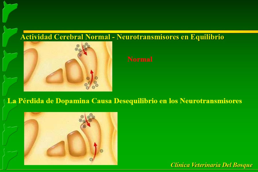 Problemas conductuales en el paciente geritrico