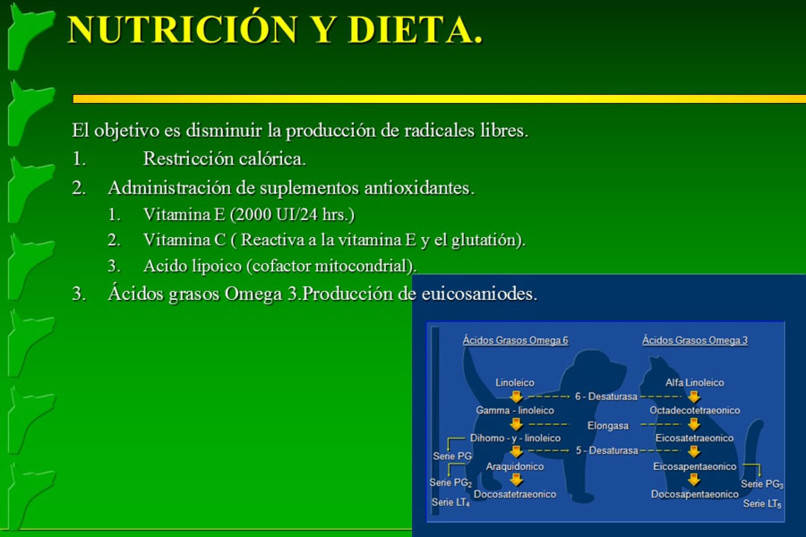 Problemas conductuales en el paciente geritrico