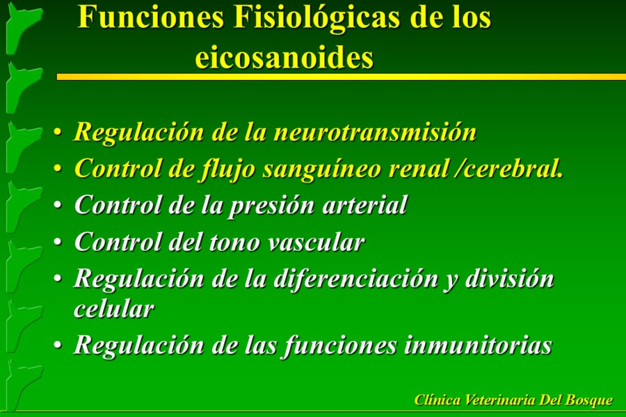 Problemas conductuales en el paciente geritrico