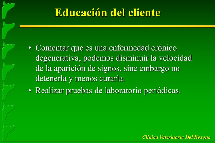 Problemas conductuales en el paciente geritrico