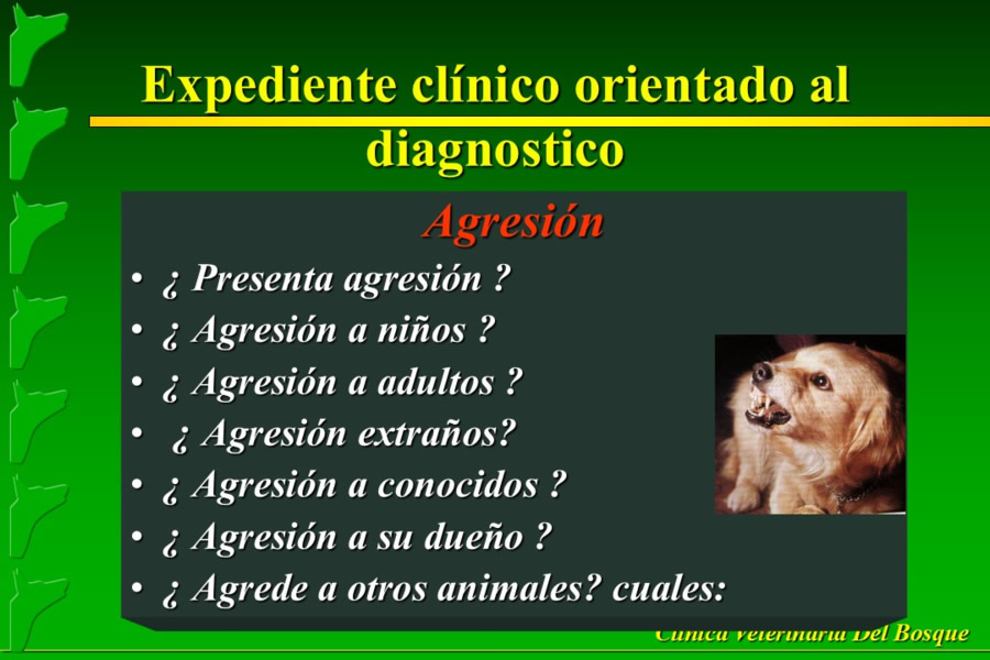 Problemas conductuales en el paciente geritrico