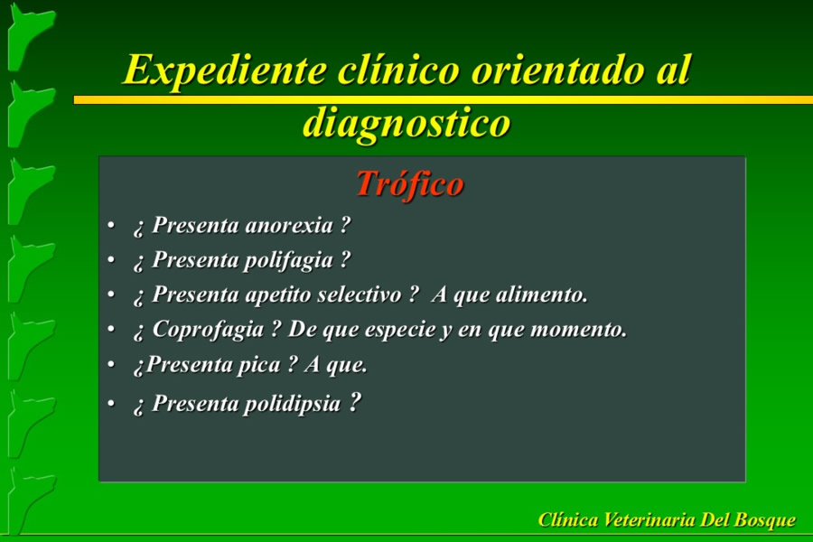 Problemas conductuales en el paciente geritrico