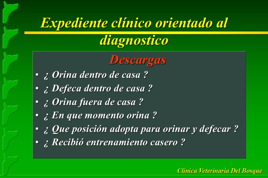 Problemas conductuales en el paciente geritrico