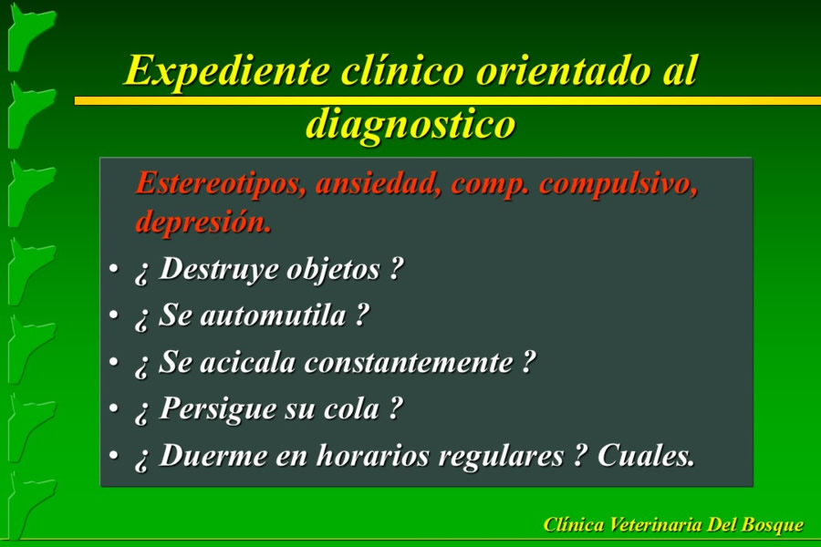 Problemas conductuales en el paciente geritrico