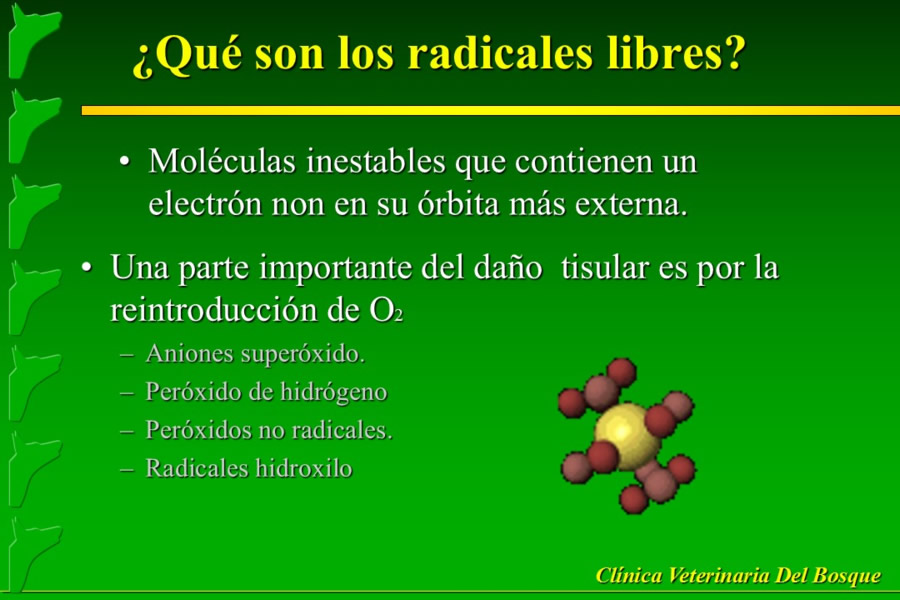 Problemas conductuales en el paciente geritrico