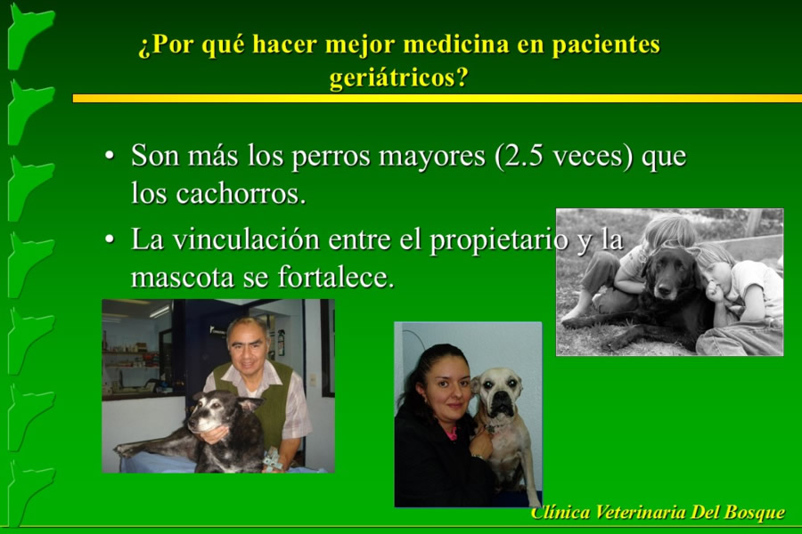 Problemas conductuales en el paciente geritrico