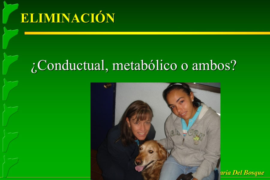 Problemas conductuales en el paciente geritrico
