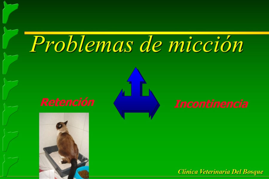 Problemas conductuales en el paciente geritrico