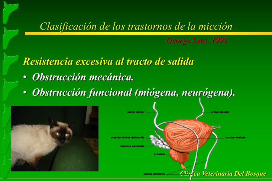 Problemas conductuales en el paciente geritrico