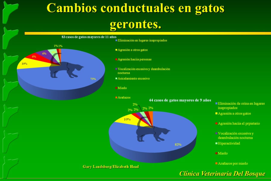 Problemas conductuales en el paciente geritrico