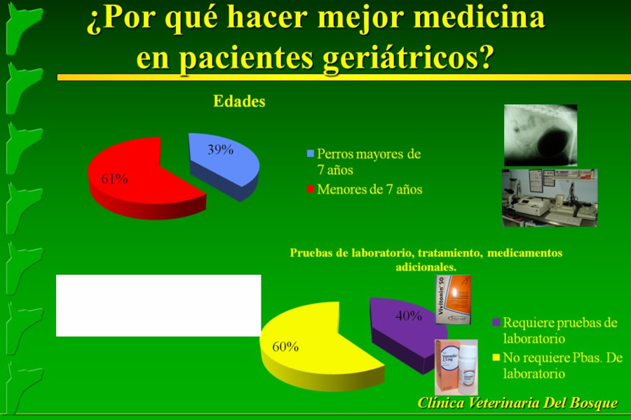 Problemas conductuales en el paciente geritrico