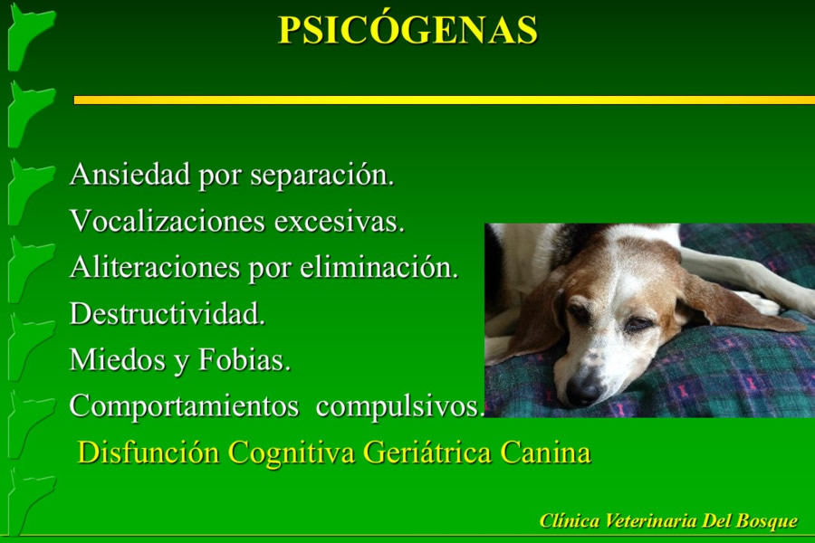 Problemas conductuales en el paciente geritrico