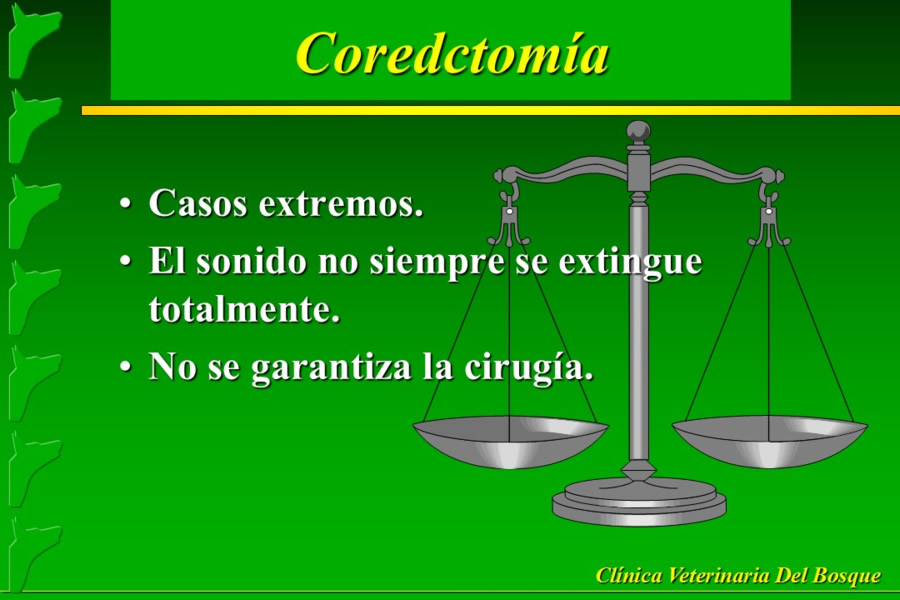 Problemas conductuales en el paciente geritrico