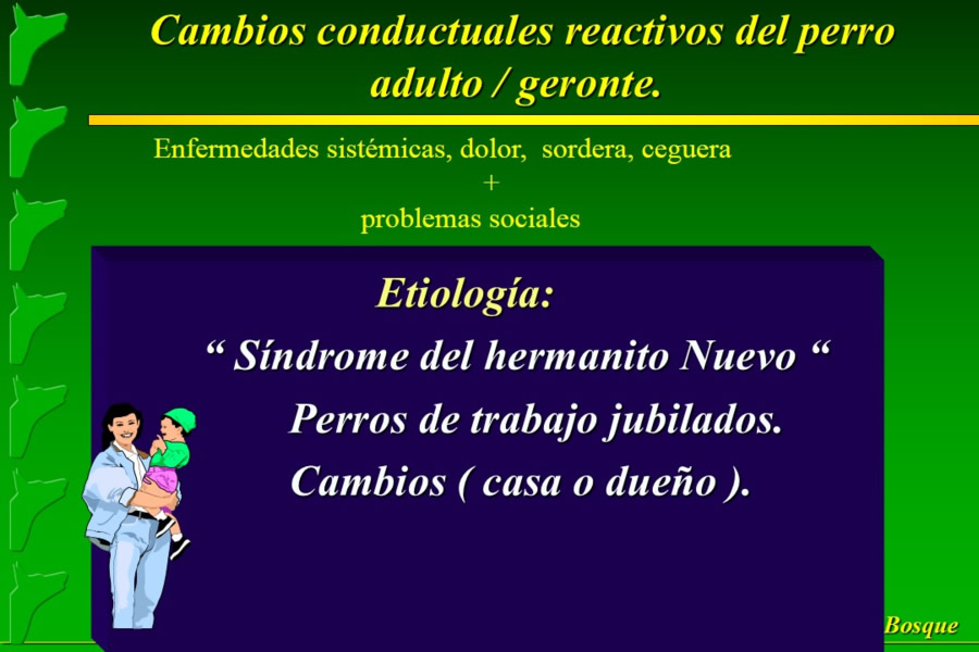 Problemas conductuales en el paciente geritrico