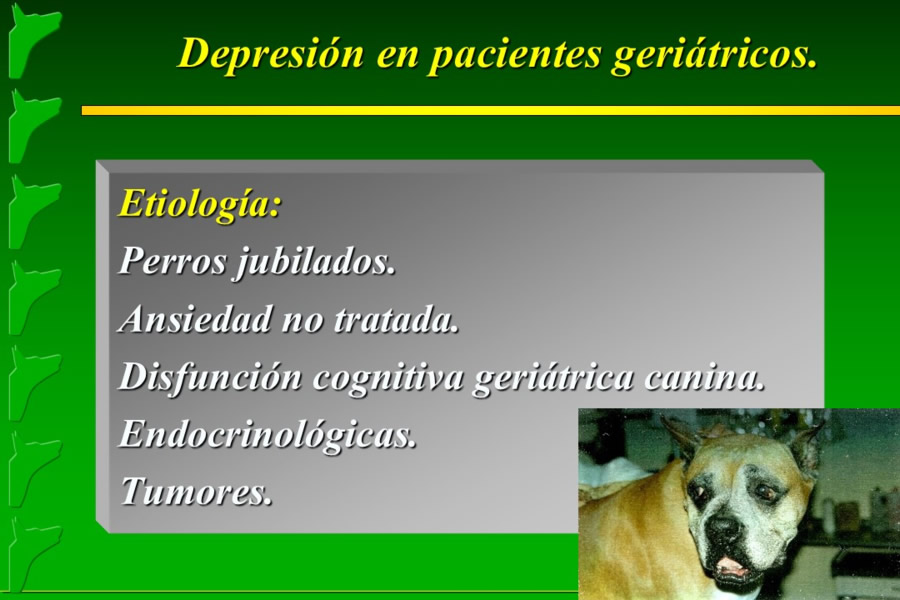 Problemas conductuales en el paciente geritrico