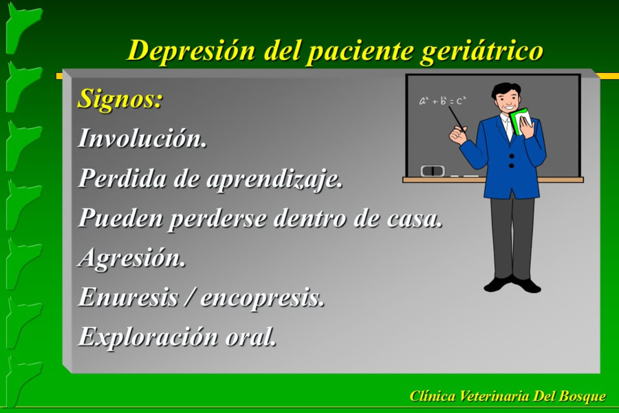 Problemas conductuales en el paciente geritrico