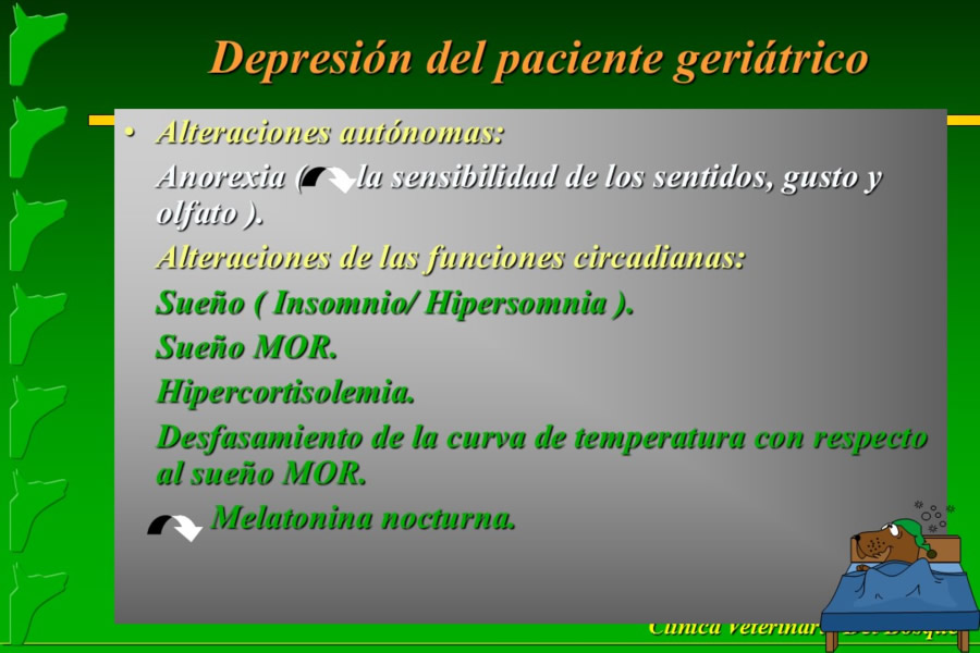 Problemas conductuales en el paciente geritrico