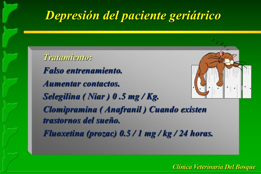 Problemas conductuales en el paciente geritrico