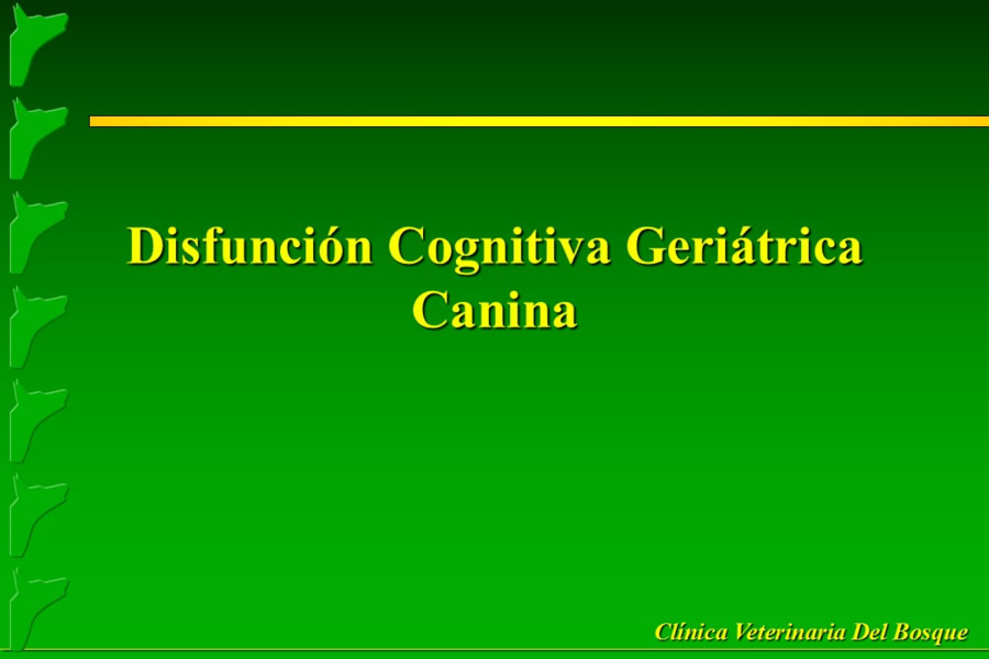 Problemas conductuales en el paciente geritrico