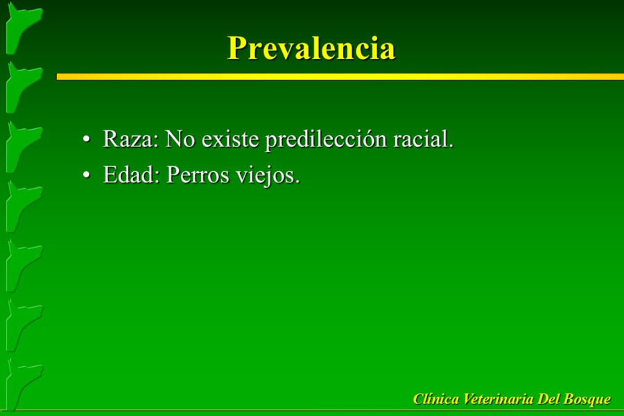 Problemas conductuales en el paciente geritrico