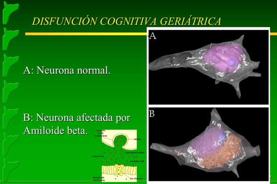 Problemas conductuales en el paciente geritrico