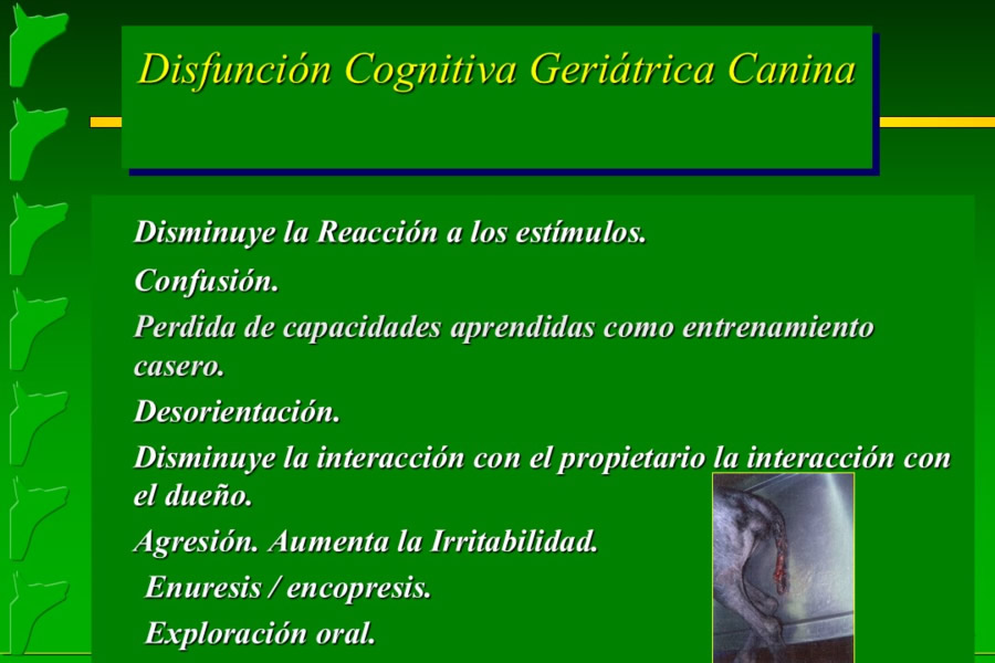 Problemas conductuales en el paciente geritrico