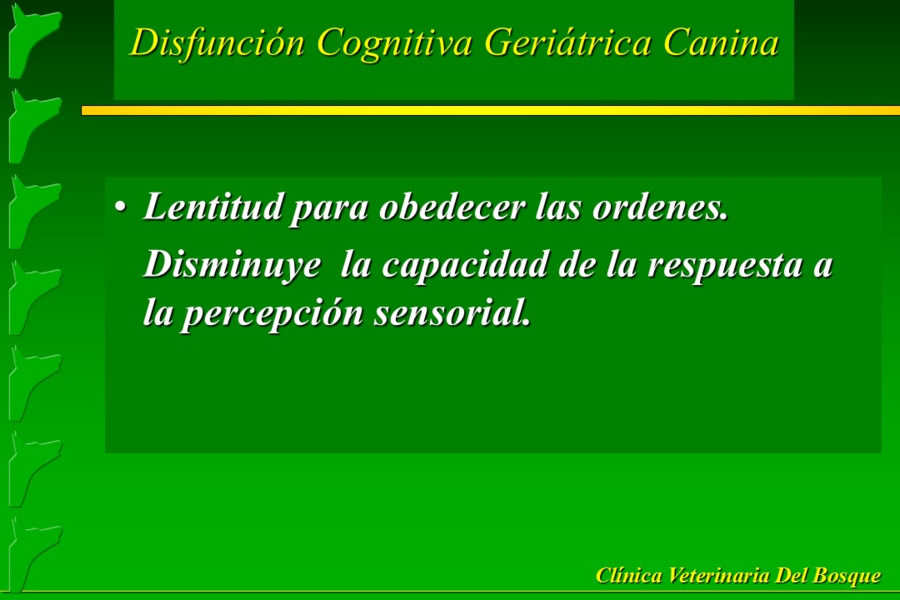 Problemas conductuales en el paciente geritrico