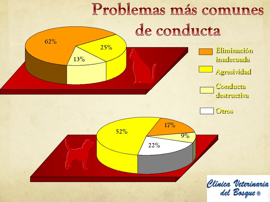 relaciones afiliativas