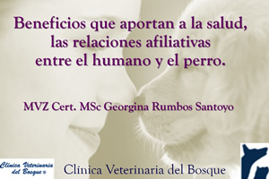 Beneficios que aportan a la salud, las relaciones afiliativas entre el humano y el perro