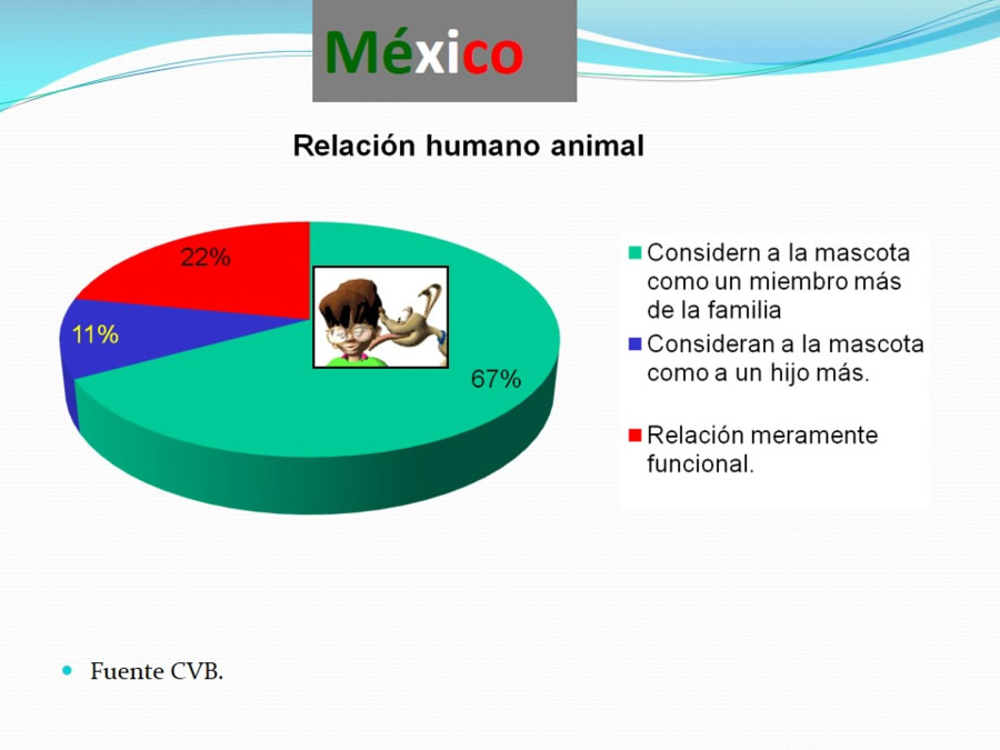 Terapia asistida con animales de compaa y personas mayores