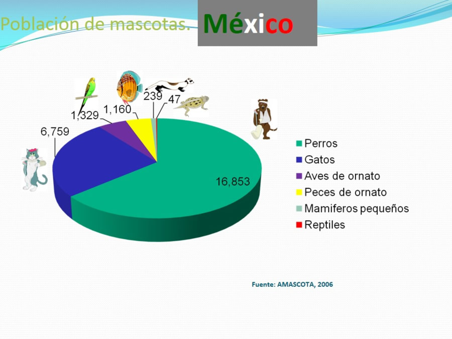 Terapia asistida con animales de compaa y personas mayores