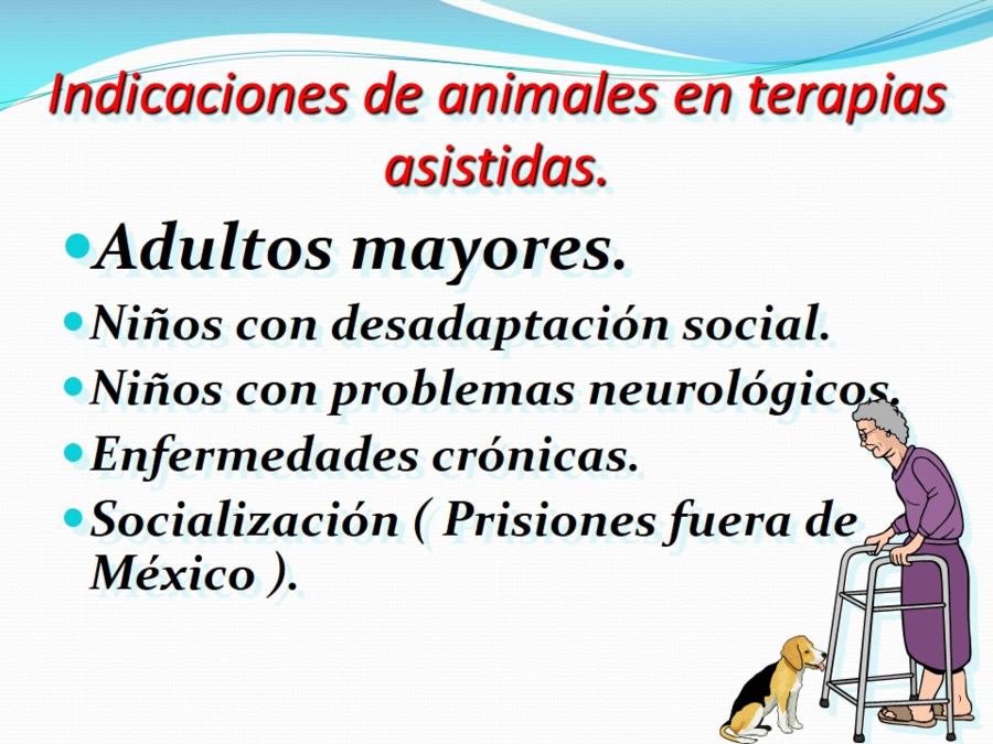 Terapia asistida con animales de compaa y personas mayores