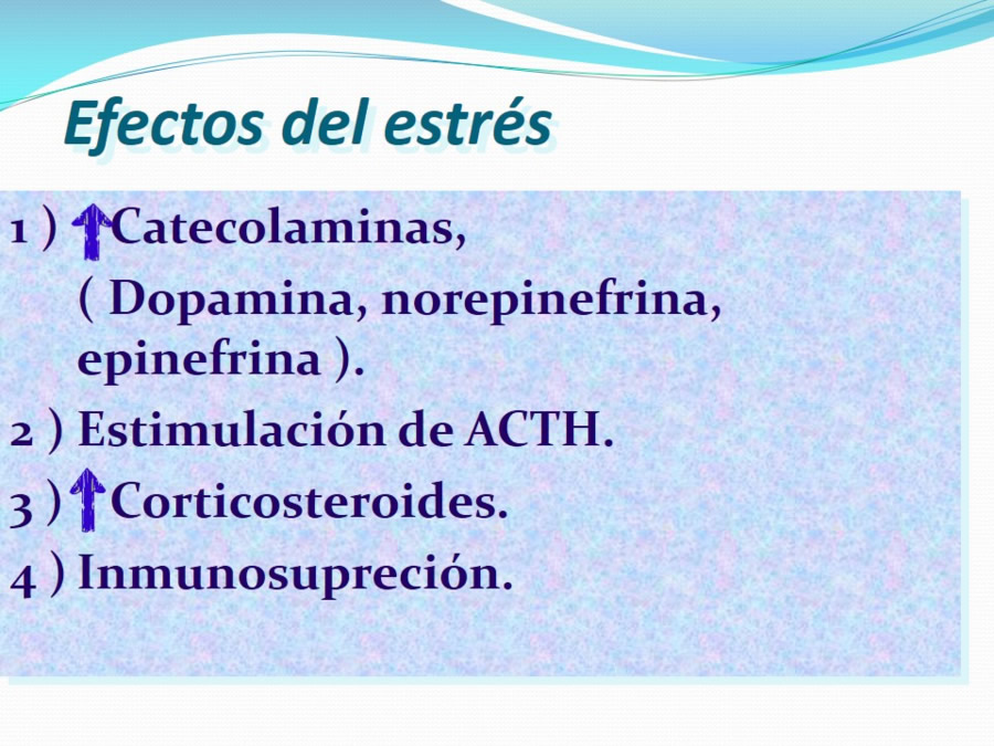 Terapia asistida con animales de compaa y personas mayores