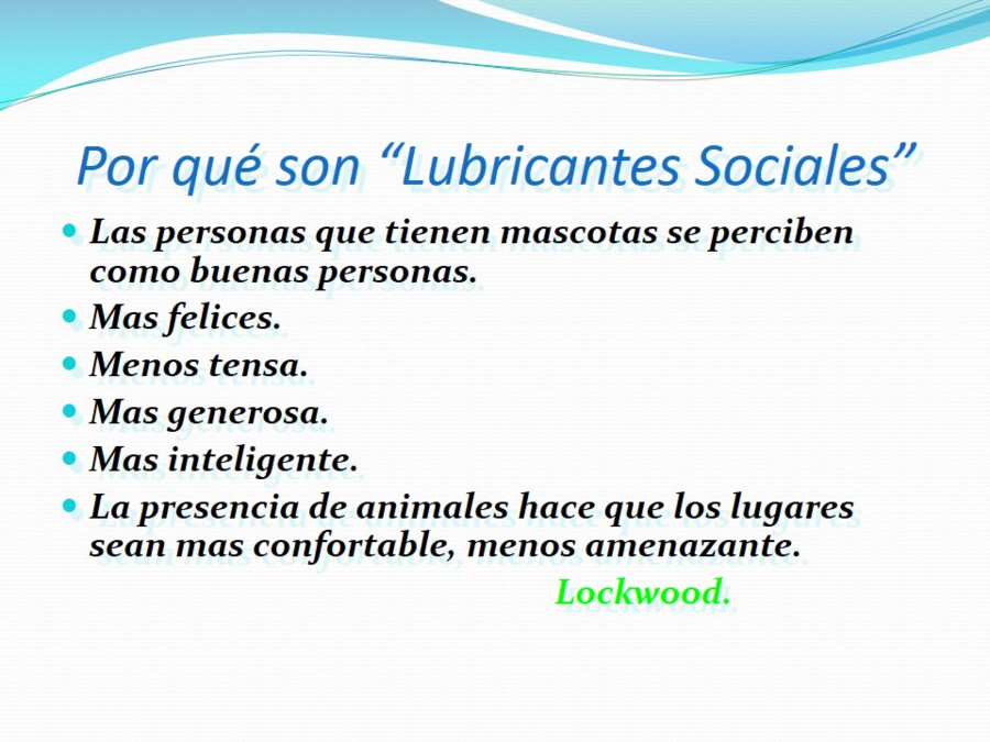 Terapia asistida con animales de compaa y personas mayores