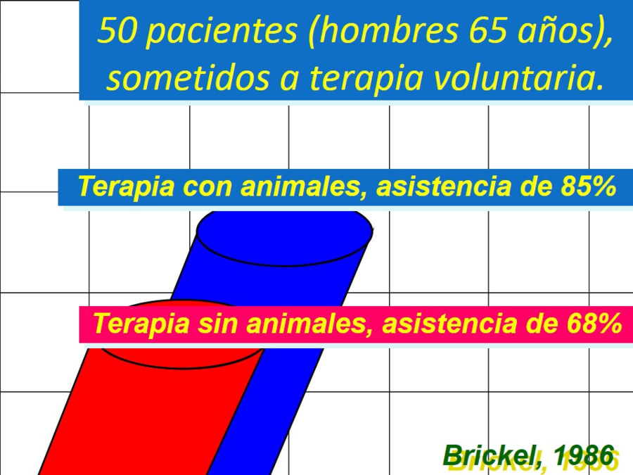 Terapia asistida con animales de compaa y personas mayores