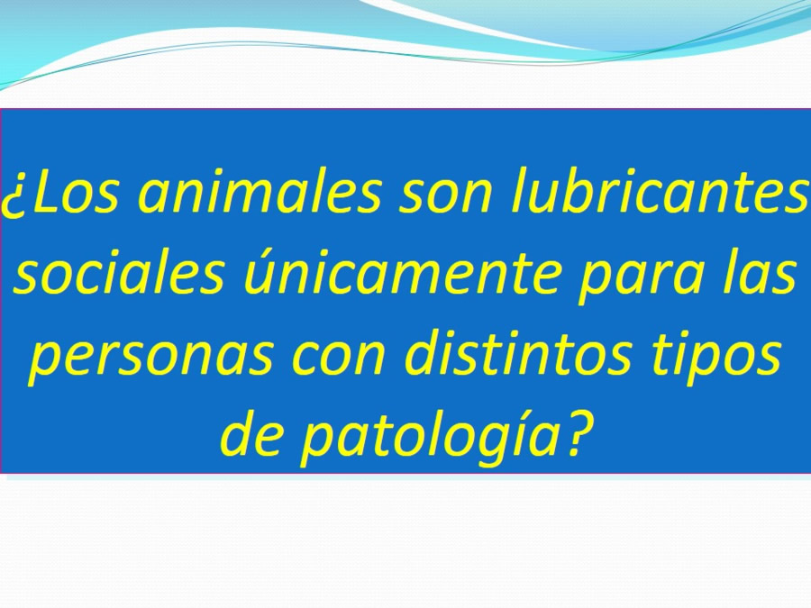 Terapia asistida con animales de compaa y personas mayores