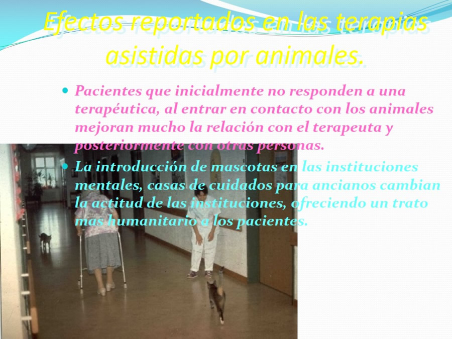 Terapia asistida con animales de compaa y personas mayores