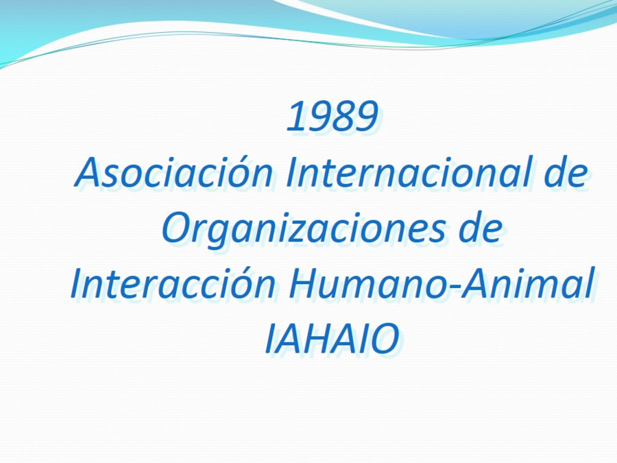 Terapia asistida con animales de compaa y personas mayores