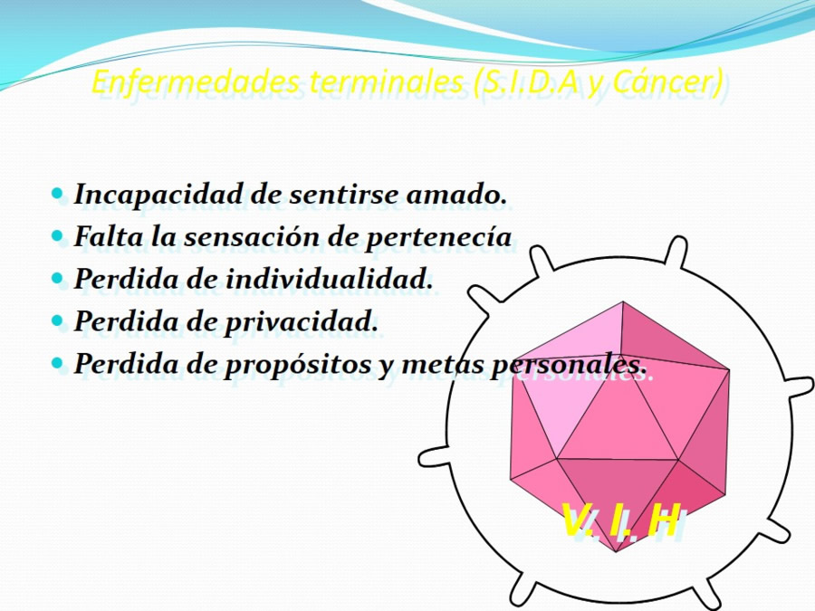 Terapia asistida con animales de compaa y personas mayores