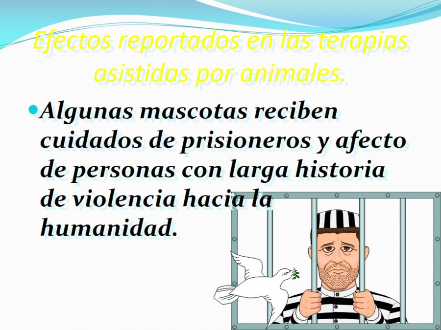 Terapia asistida con animales de compaa y personas mayores