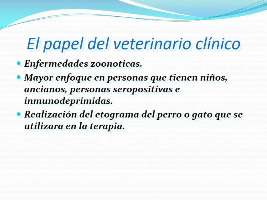 Terapia asistida con animales de compaa y personas mayores