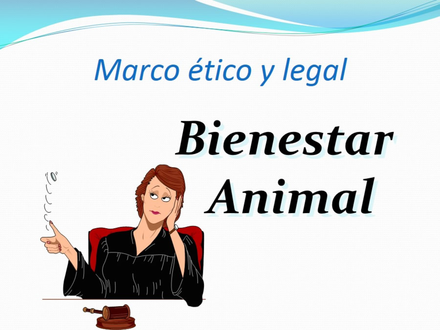 Terapia asistida con animales de compaa y personas mayores