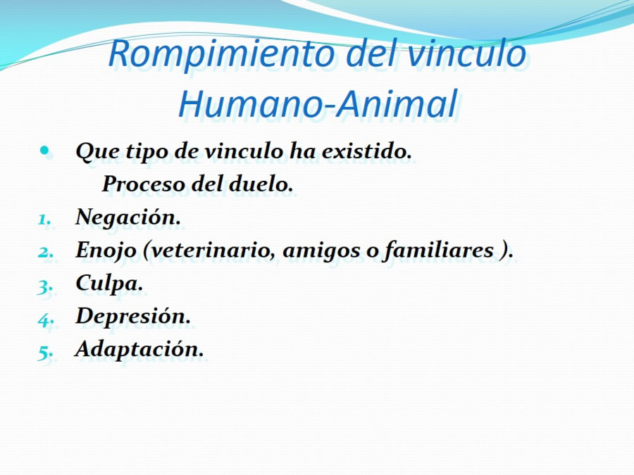 Terapia asistida con animales de compaa y personas mayores