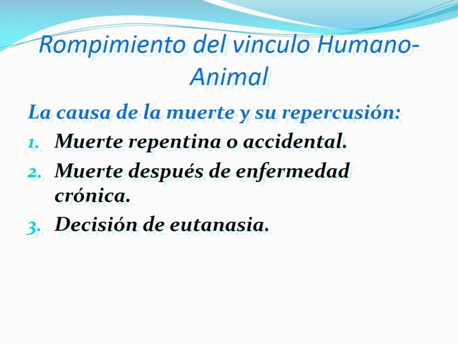 Terapia asistida con animales de compaa y personas mayores