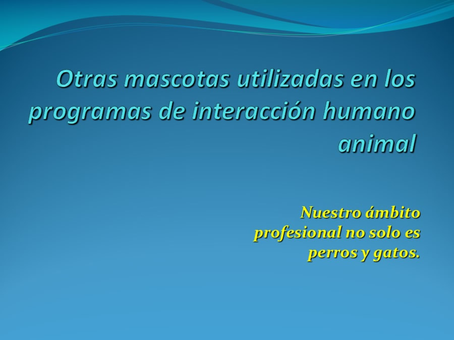 Terapia asistida con animales de compaa y personas mayores